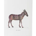Be Bold Zebra