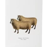 Happy Birthday Two Ewe