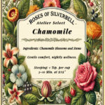 Chamomile