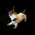 Goebel Porcelain Scottish Terrier Figurine