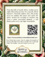 Rooibos & Jasmine - Image 2